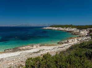 Beach - Seaside Apartment Franica (Vela Luka)