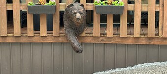 Newly renovated 2 bedroom cabin near Cave Run Lake & Red River Gorge