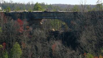 A stone bridge over a forested area with people walking on it.
