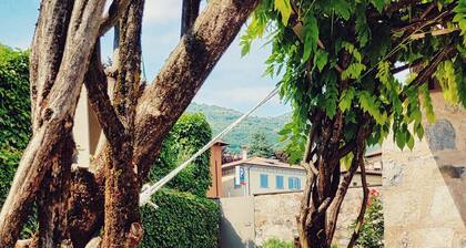 Green Oasis on Lake Iseo - House with Garden and Terrace 1 Minute from the Water