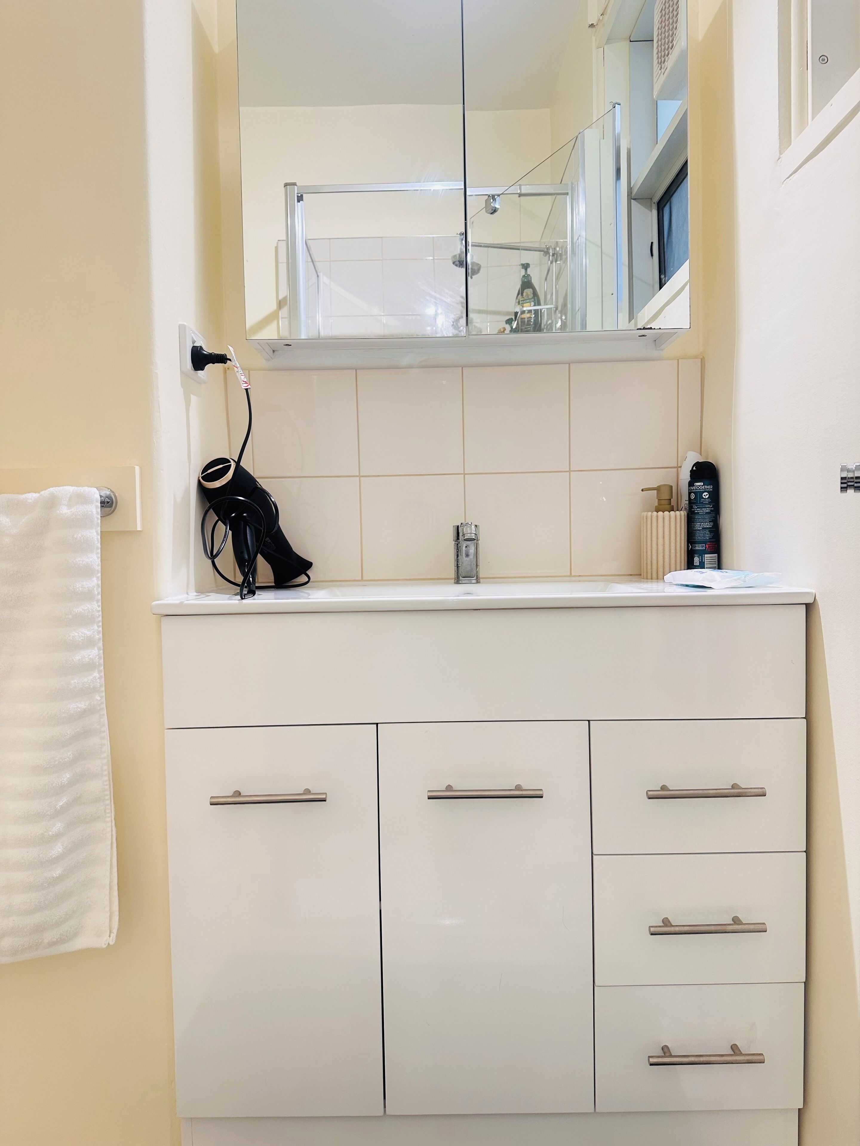 Hair dryer, bidet, towels, soap