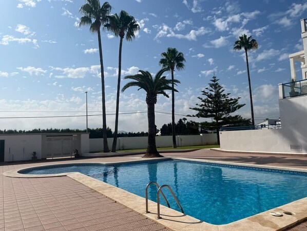 Una piscina con borde de baldosas, rodeada de palmeras y un edificio blanco.