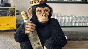 A monkey sculpture with a crown and a bottle of liquor. - EDWIN CAFE BAR PANSIYON (Ayvalik)