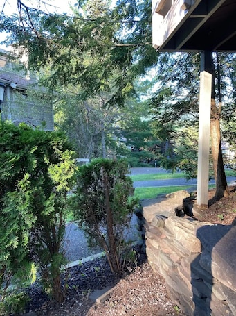 Property grounds. Four Seasons Luxury Mountain Retreat next to hiking trails