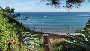 Una vista sulla costa con un sentiero che conduce a una spiaggia, circondata da vegetazione e un recinto.