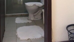 Kylpyhuoneessa on lasiseinällä varustettu suihkukaappi, wc ja pieni matto lattialla.