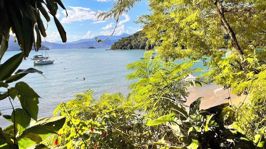 Praia Comprida Flats