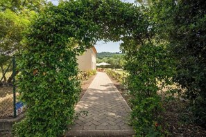 Property grounds - Agriturismo Sant' Elmira: Goditi la Vasca Idromassaggio Esterna (Montescudaio)