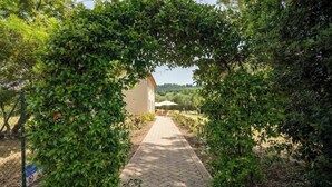 A paved pathway leading to a building surrounded by lush greenery. - Agriturismo Sant'elmira - Apt. Allegra w. Jacuzzi (Montescudaio)