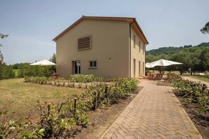 Exterior - Agriturismo Sant'elmira - Apt. Fortuna w. Jacuzzi (Montescudaio)