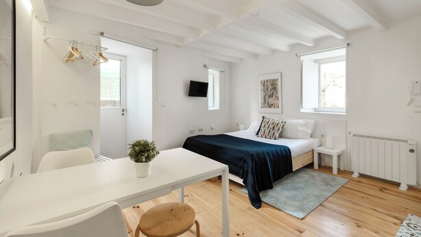Et moderne soveværelse med seng, natbord, stol og et lille bord med en plante.