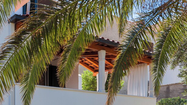 A covered outdoor area with a pergola and palm trees. - Impeccable 3-bed House in Supetar (Supetar)