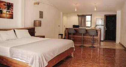 Beautiful loft in the heart of Santa Teresa