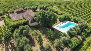 An aerial view of a vineyard with rows of grapevines, a building with a tiled roof, and a swimming pool with lounge chairs. - Villa surrounded by vineyards with private pool near Orvieto (Terni)