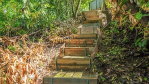 A wooden staircase in a forested area with a sign indicating a natural area. - Hidden Forest Retreat | King | Firepit | Near Light Rail | Minutes to Downtown Seattle (Seattle)