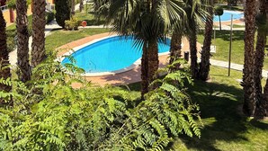 A swimming pool surrounded by palm trees and greenery, with a building in the background.