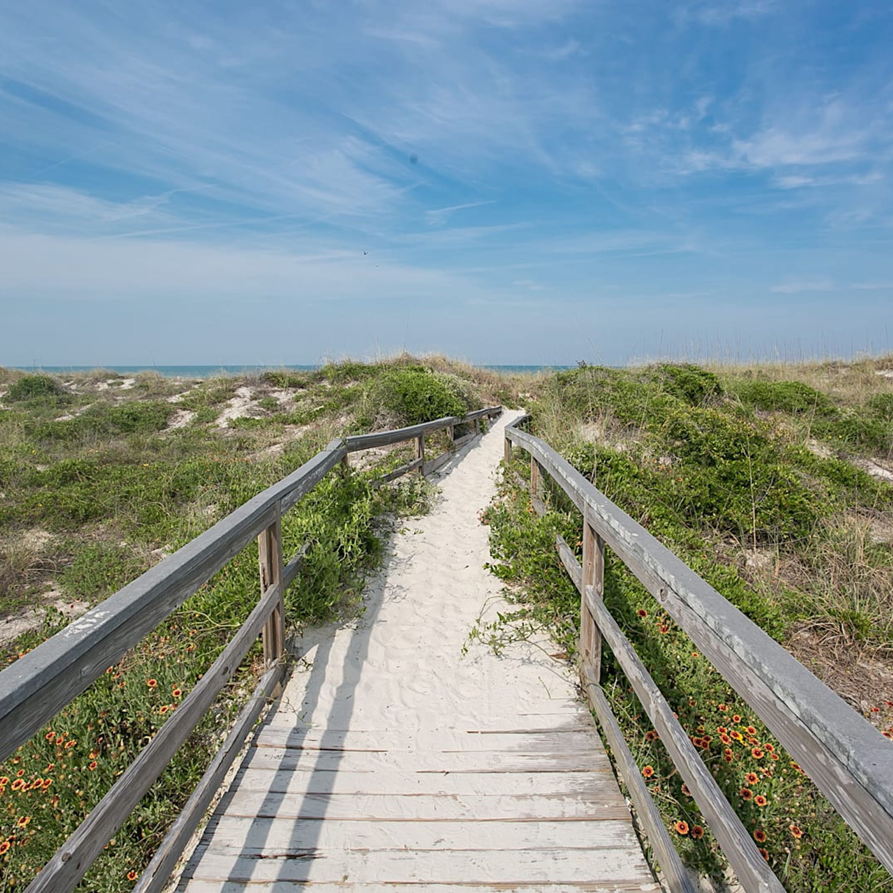 Ein Holzsteg führt zu einem Strand mit Dünen und Wildblumen.