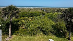A coastal landscape with a wooden boardwalk leading to the beach, surrounded by dense greenery and palm trees. - Oceanfront 3BR Luxe New Rental (St. Augustine)