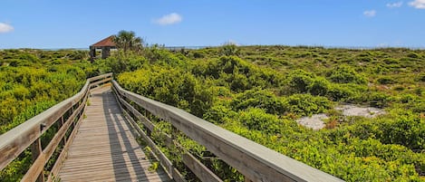 A wooden boardwalk leading to a building surrounded by dense green vegetation.