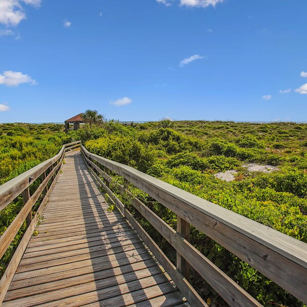 A wooden boardwalk leading to a building surrounded by dense green vegetation.