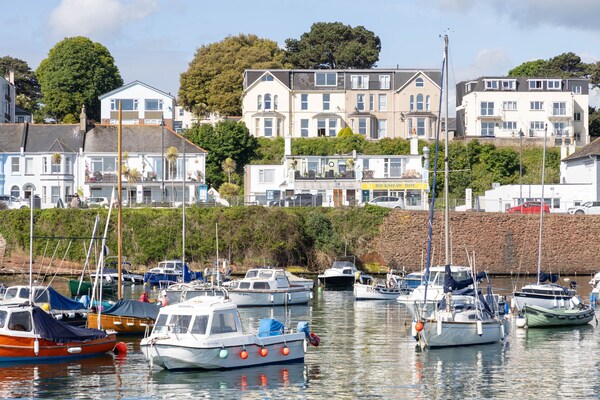 Quayside View In Paignton - Paignton