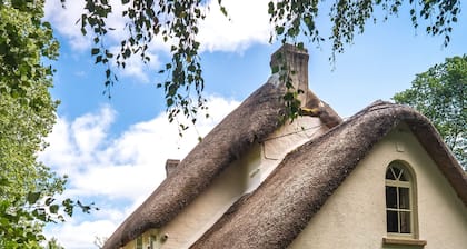Weeke Brook in Chagford