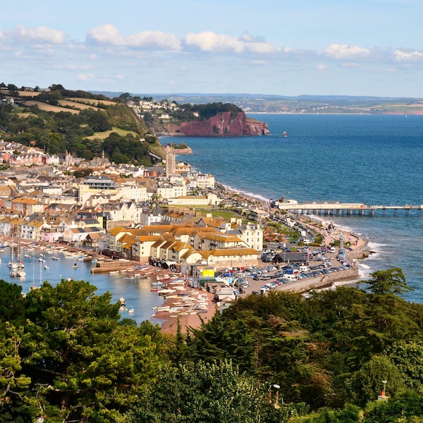 Coombe Bank In Teignmouth - Teignmouth