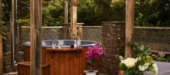 Swifts Return in Lower Ashton