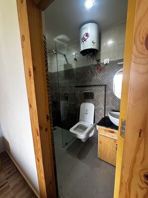 Shower, hair dryer, bidet, towels