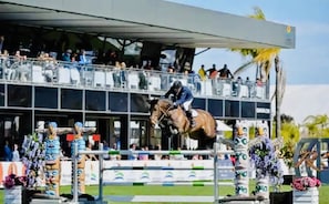 Point of interest - Oliva Nova Club Sevilla VI Equestrian Center . Playa 400 Metros (OLIVA)