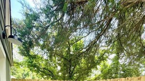 A patio with two wicker chairs, a wood-burning stove, and a wooden fence. - Walkable Cottage, Pet Friendly with Fenced Patio (Southern Pines)