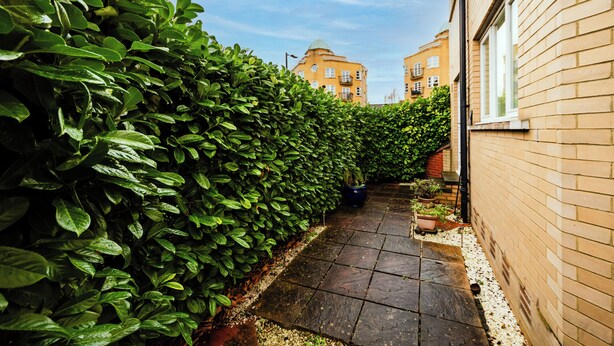 Property grounds - Supurb Apartment in Canada Water - Free Parking (London)