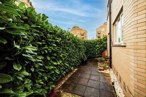 Supurb Apartment in Canada Water - Free Parking
