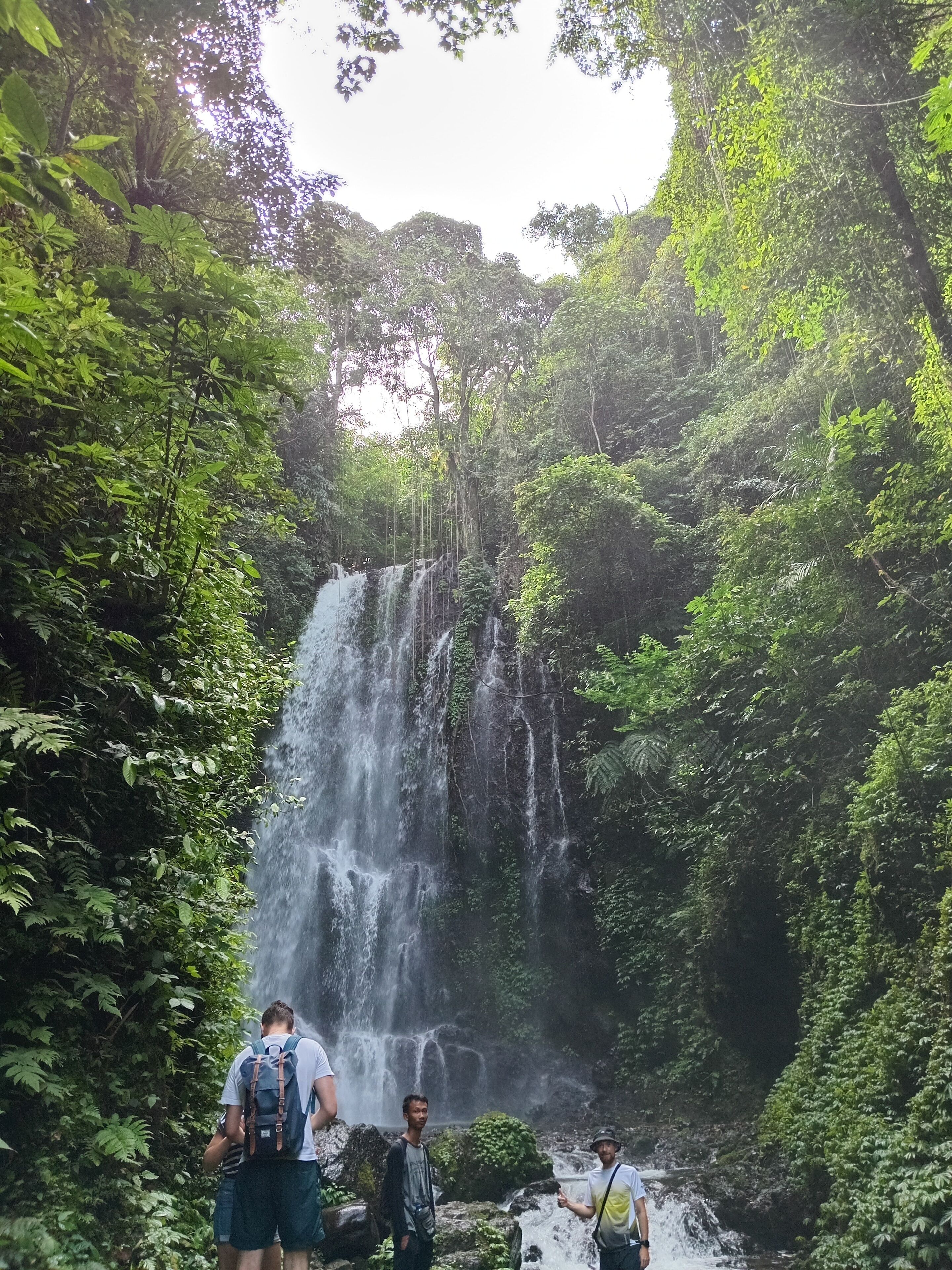 A waterfall surrounded by dense greenery.