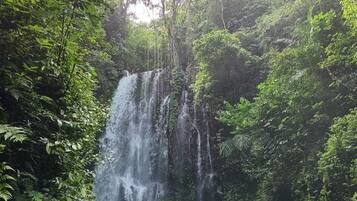 A waterfall surrounded by dense greenery.