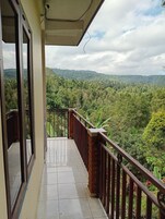 Vista del balcón