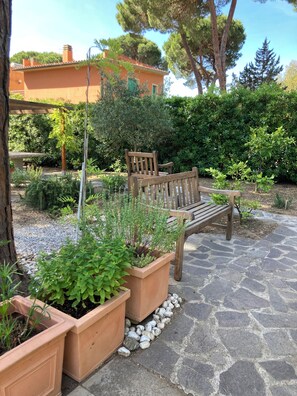Terraza o patio