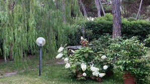 Unclassified image, 2 of 27, button - La Casa di Mishka (grosseto)