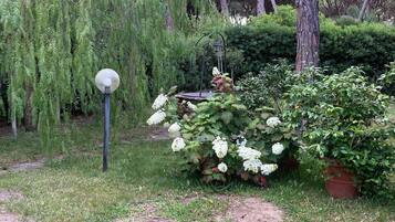 Parco della struttura