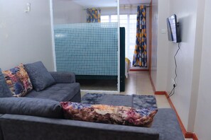 Un salon avec un canapé, un téléviseur fixé au mur, et une salle de bain avec une douche carrelée.