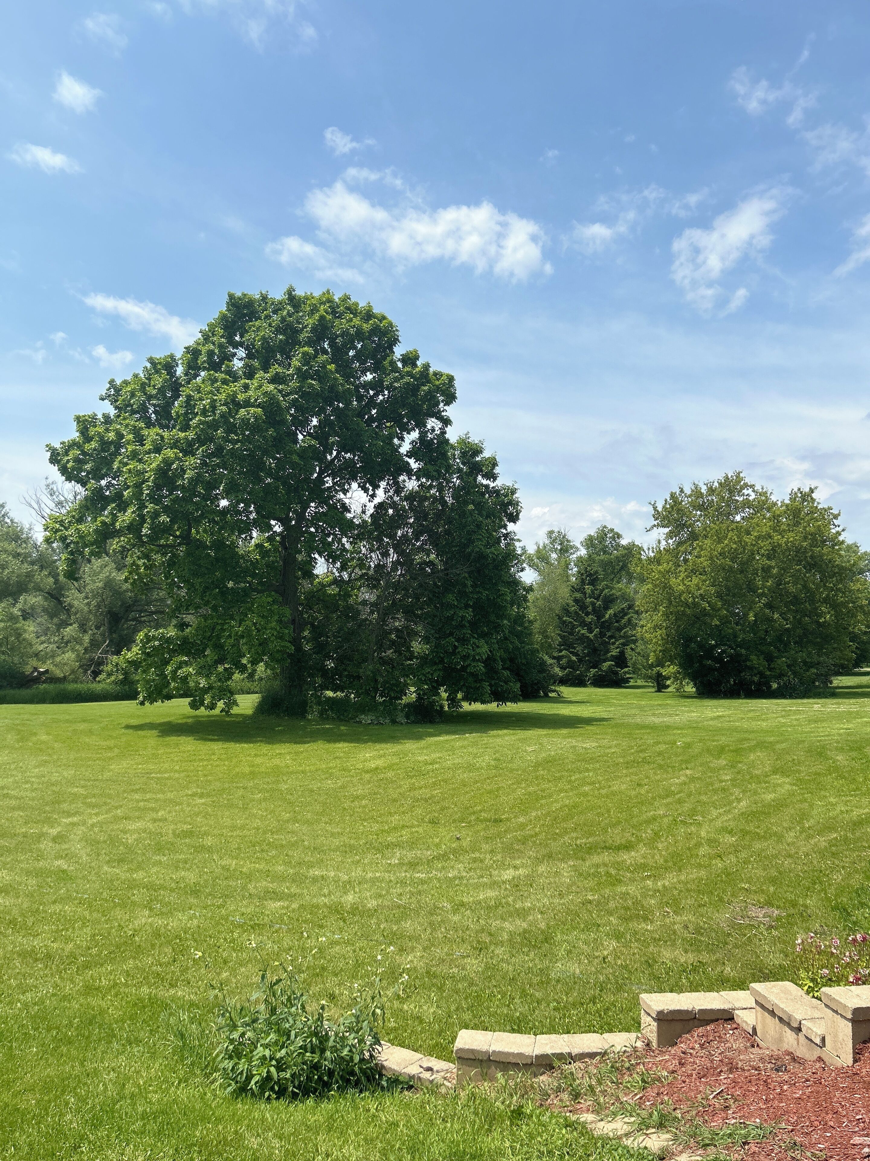 Terrain de l’hébergement 