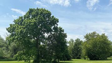 Terrain de l’hébergement