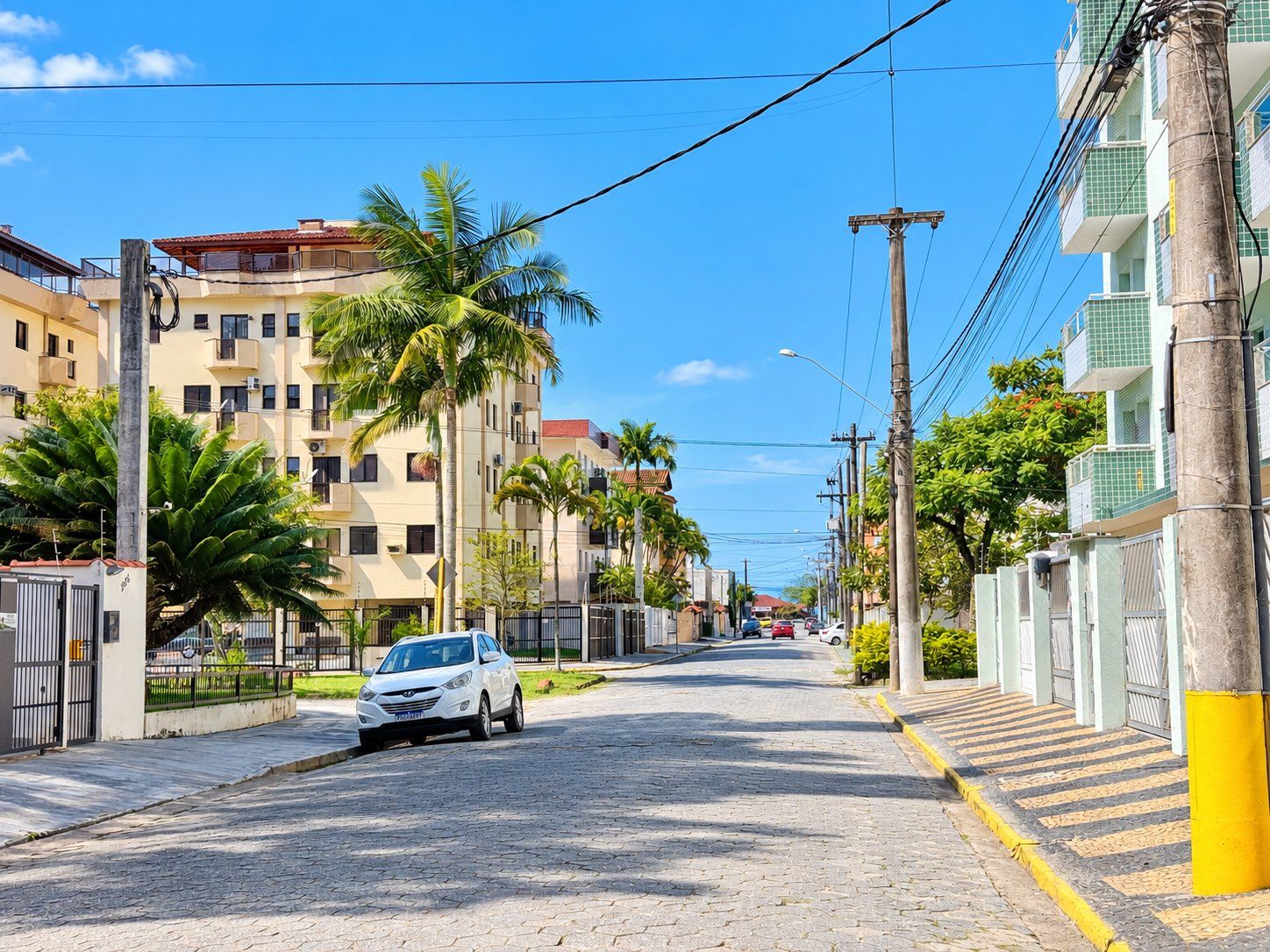 Rua com edifícios, um carro e palmeiras.