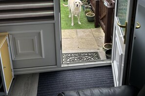 Ein Zimmer mit einer grauen Tür, einem kleinen Teppich und einem Hund, der draußen auf einer Rasenfläche mit Blumentöpfen steht.