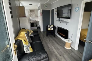 Un espacio habitable compacto con un sofá de cuero negro, un televisor de pantalla plana montado en la pared, una chimenea y una pequeña cocina al fondo.
