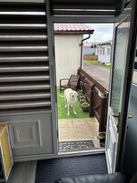 Chalet | View from property