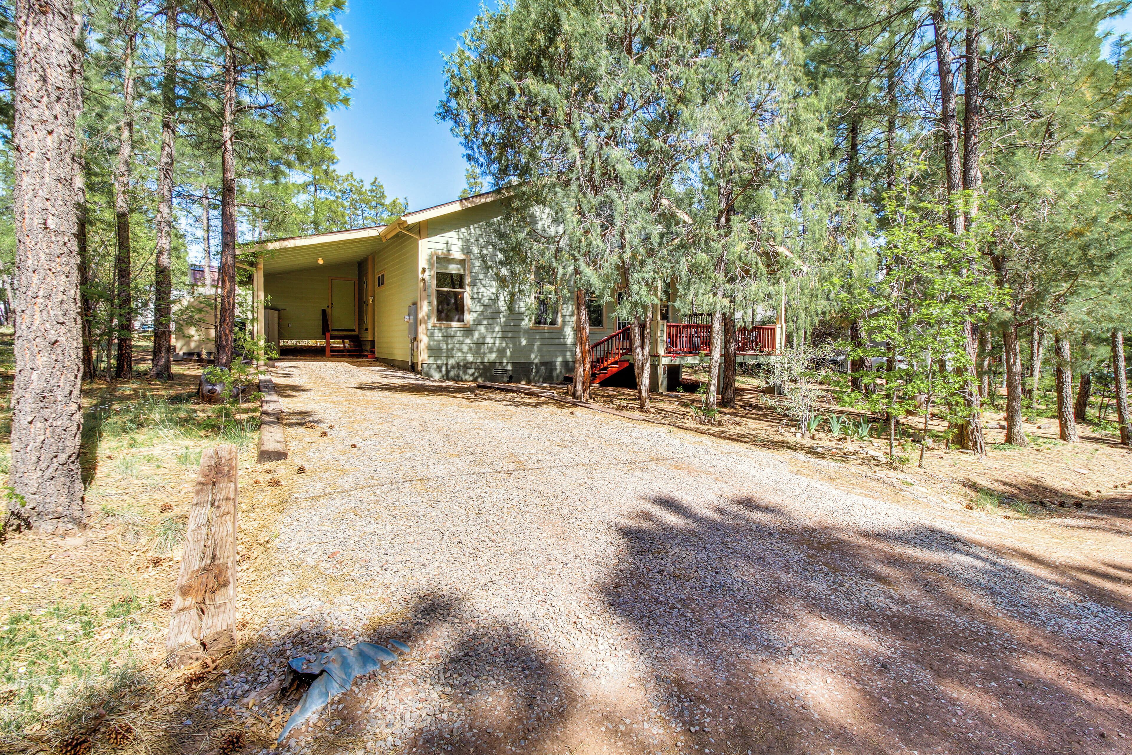 A rustic cabin with a gravel driveway, surrounded by tall pine trees.