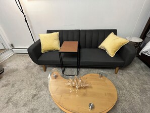 Living area - Quite Cozy Studio apartment (Philadelphia)