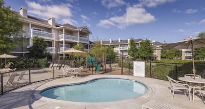 Windsor | Sonoma Wine Escape | Pool & Vineyard Days