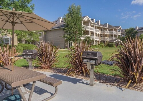 Sonoma | Wine Country Hideaway | Pool & Vineyard Views